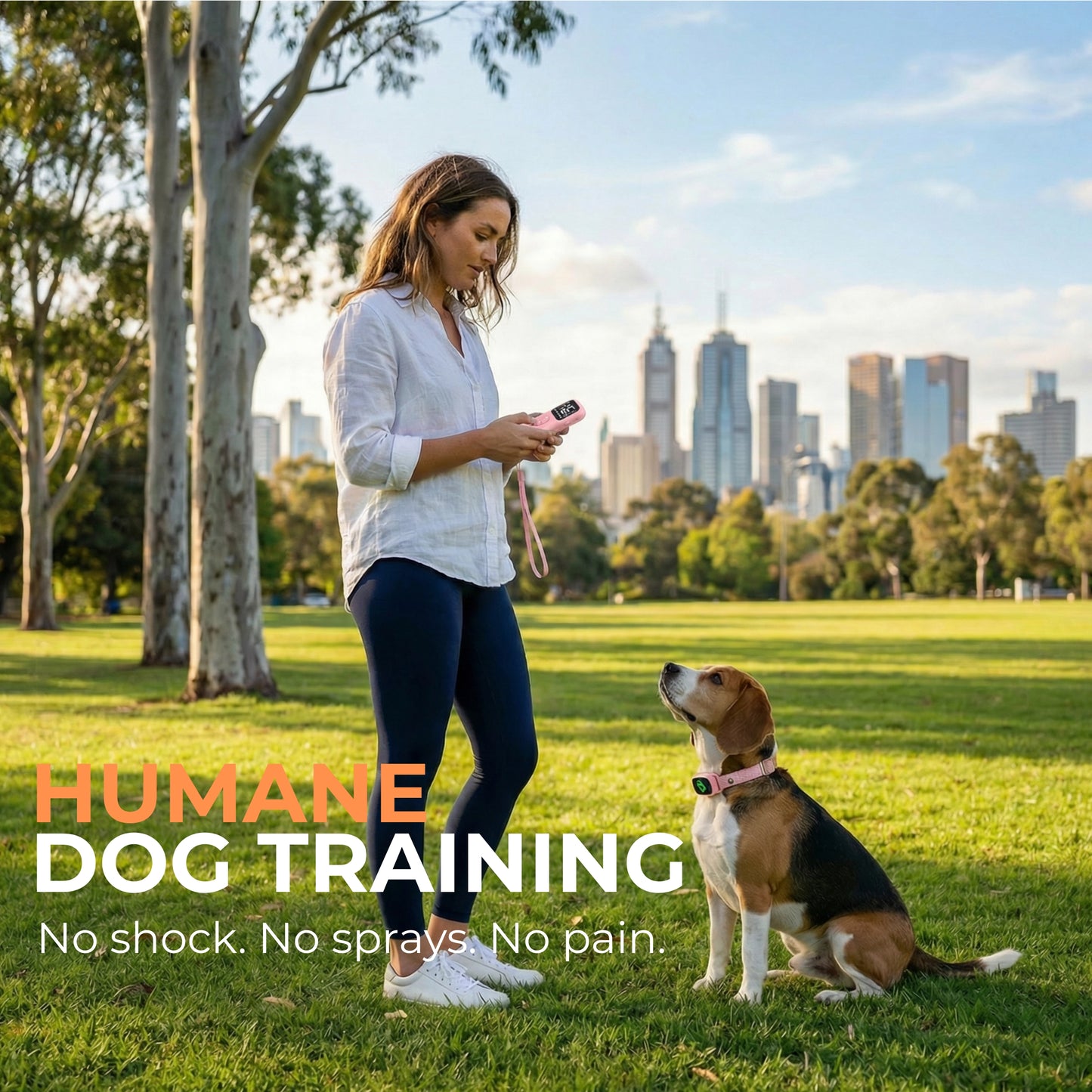 2-in-1 Anti Bark Collar & Remote Training (No Shock)