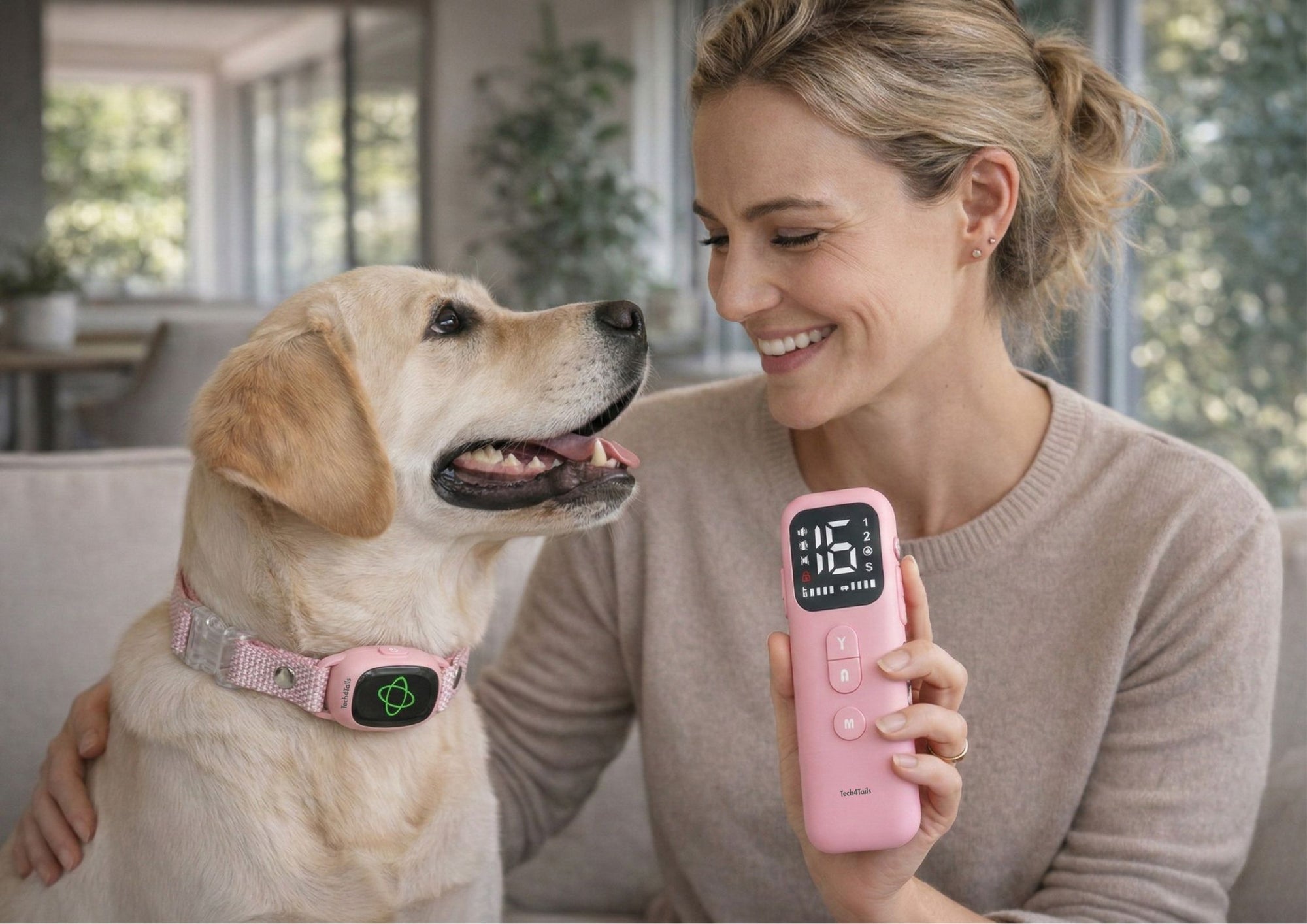 Stop the barking.