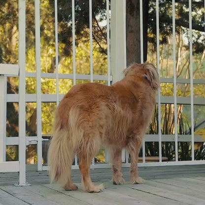 Indoor & Outdoor Bark Control Kit | Ultrasonic Bark Devices